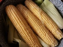 Nyers kukorica tápértéke